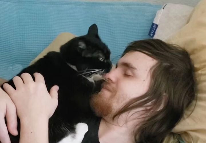 鼻周りを一心不乱にキスする猫、飼い主笑顔で微動だにせず