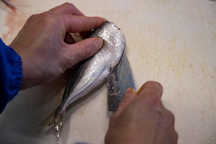 内臓をかき出す