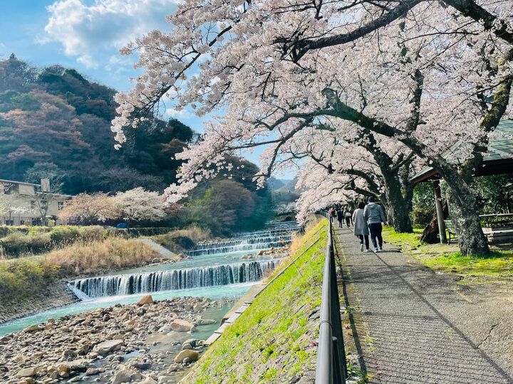 朝８時からオープン♪ 箱根で心とカラダにやさしい自然薯たっぷり朝食&ランチを「山薬」