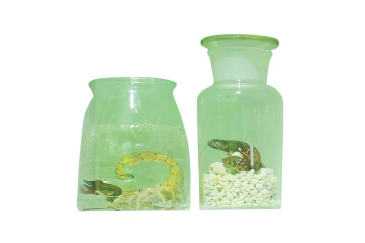 『毒毒毒毒毒毒毒毒毒展・痛（もうどく展2）』