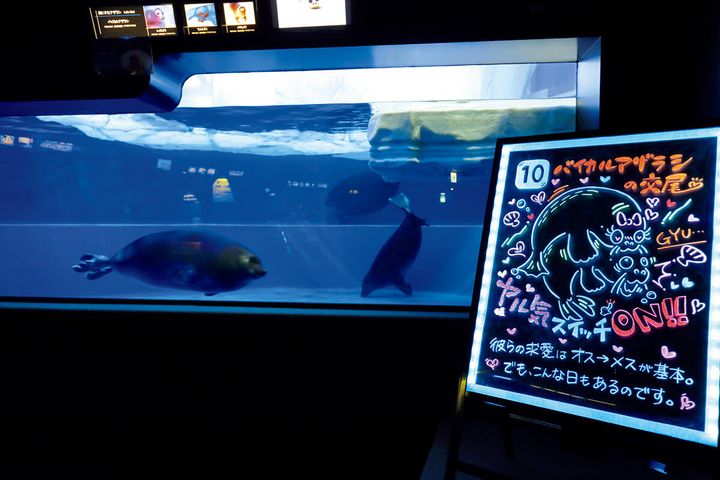 〈サンシャインエンタプライズ〉片野未奈子さんの2020年『もっと♡性いっぱい展』の展示