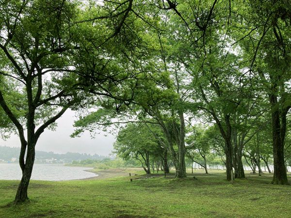車がなくてもキャンプはできる！高速バスで行くソロキャンプ行ってみた。