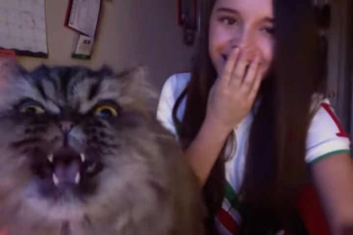 飼い主の歌声聴いて飛んできた猫、大音声のオペラを歌う