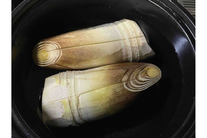 ▲先端を斜めに切り落とし、根元まで縦に切り込みを入れます。