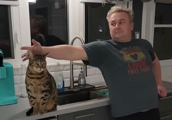 後からそっと耳触れとぼける人に、猫は気づかず周囲を見回す