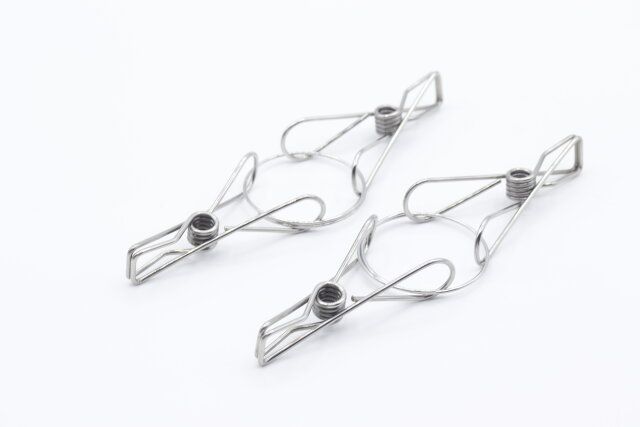 セリアのステンレスダブルピンチ 2P