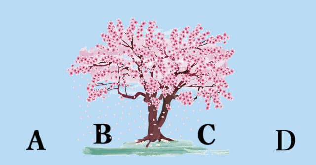 どこから撮る？【心理テスト】あなたの運命の相手の居場所を診断！