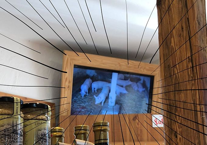 覚えがある分ブッ刺さって痛い。安いと買いすぎて、うっかり腐らせてしまった経験は数えられないくらいあります【教えて！世界の子育て～ドイツ～】の画像6