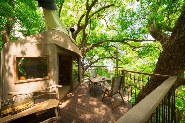 ツリーハウス外観