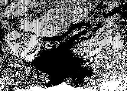 画像の代替テキスト