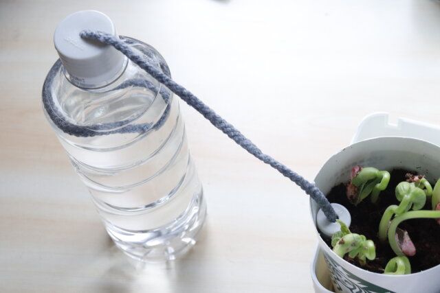 100均セリアの便利園芸グッズ