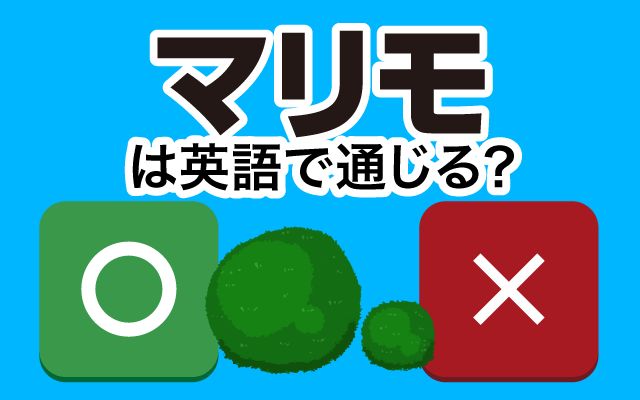 【マリモ】は英語で通じる？通じない？「北海道の湖・家庭で栽培できる」などの英語もご紹介