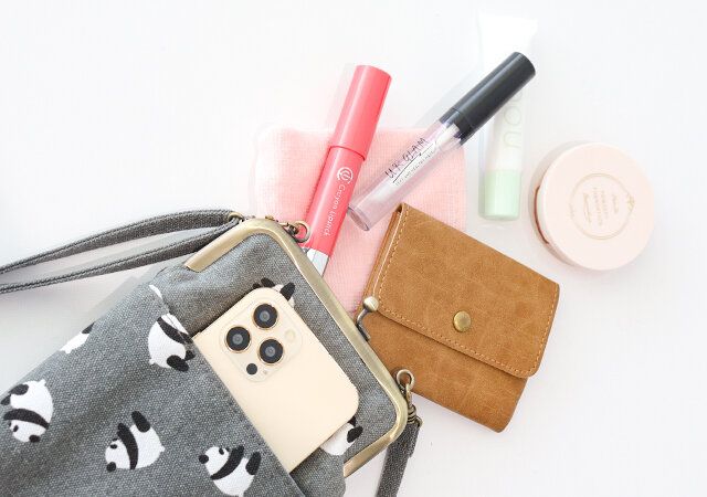 宝島社のパンダ柄スマホショルダームック付録レビュー