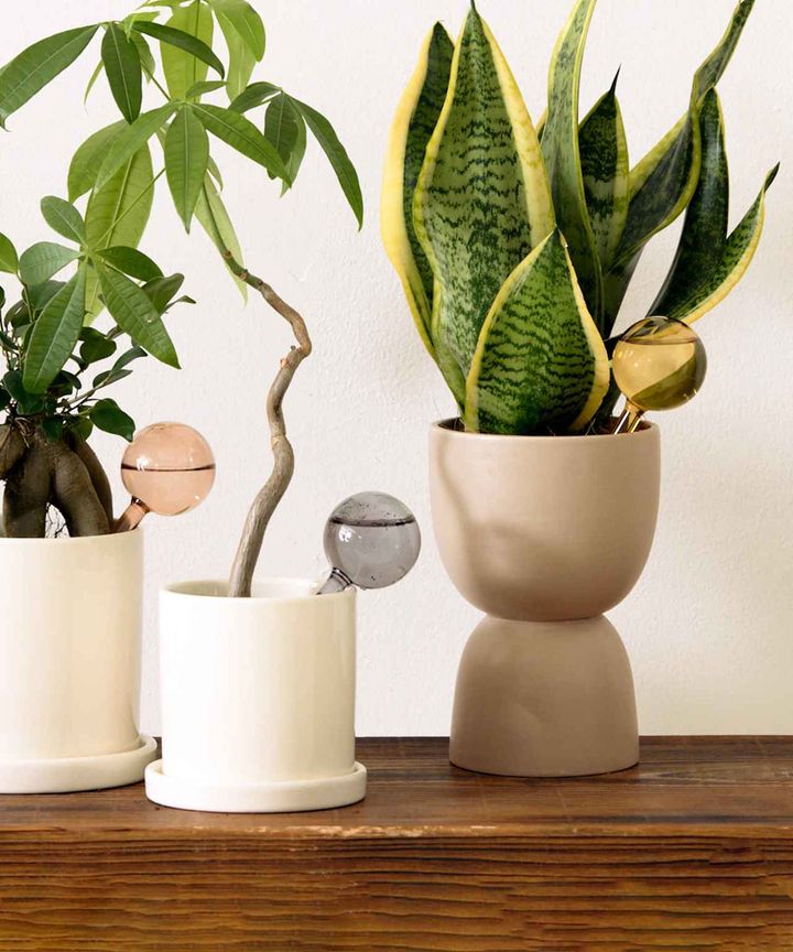 画像2: 出典：3COINS