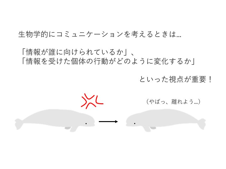 生物学におけるコミュニケーションの考え方