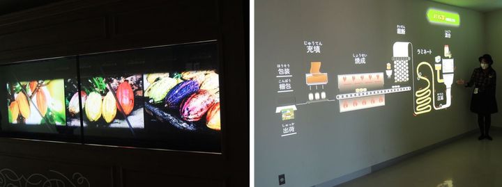 まず、チョコレートはどうやって作っているかの説明を映像で。チョコの材料はカカオ豆です。 次に、パイの実がどのように作られているかを映像のイラストで説明。混合から裁断、焼成、充填、梱包と製造工程がよくわかります