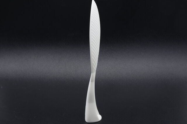 ダイソーの立つしゃもじ