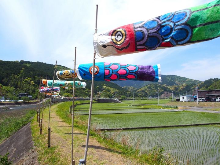 創業元禄初年！日本で一番カタイ老舗のお菓子！？西川屋の「ケンピ」【旅するデザイナーがおすすめする旅先でのお土産たち！】