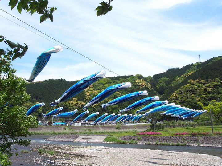 創業元禄初年！日本で一番カタイ老舗のお菓子！？西川屋の「ケンピ」【旅するデザイナーがおすすめする旅先でのお土産たち！】
