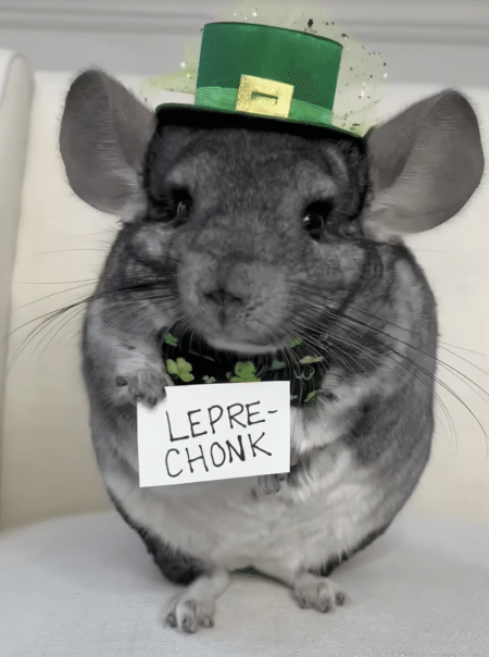 ウインクもしちゃうよ♡ モフモフっぷりが可愛すぎ！