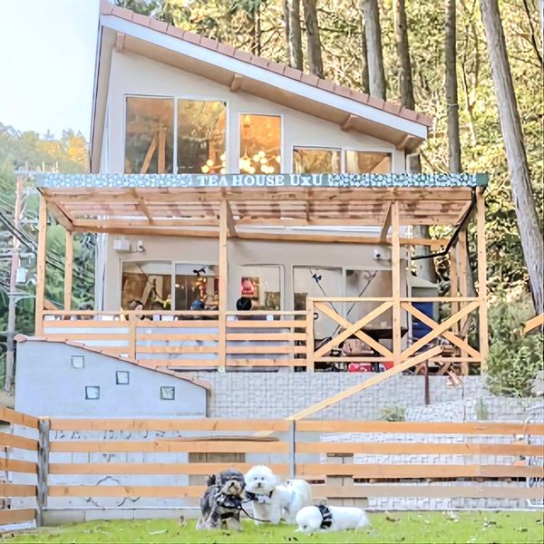 超快適すぎる「車中泊」温泉と道の駅を同時に満喫できるRVパークを厳選紹介！