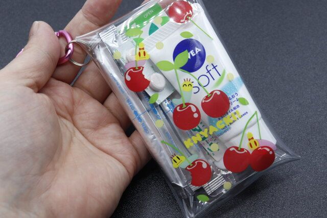 セリアのニャッキ！ カラビナ付きクリアケースに小物を収納