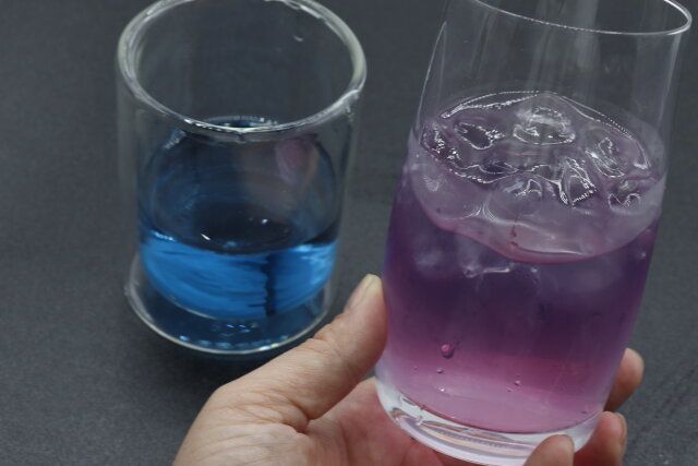 ダイソーのバタフライピーはグラデーションが綺麗