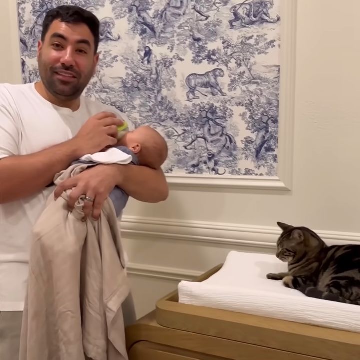 無意識に連携をした3匹の猫、赤子の居場所をすべて占拠