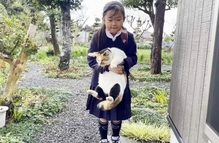 猫を抱っこする女の子