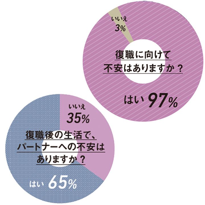 育休中ママの復職への不安,円グラフ
