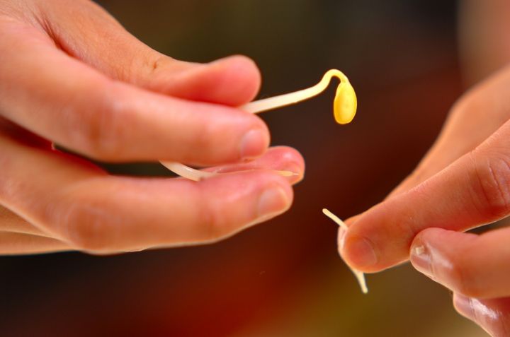 ニラ玉炒めの下準備1