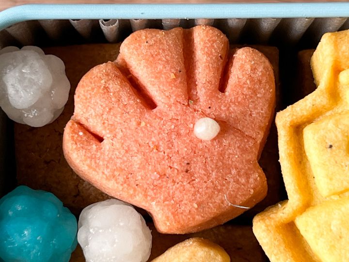 ヨットや船、貝の形をしたサブレ