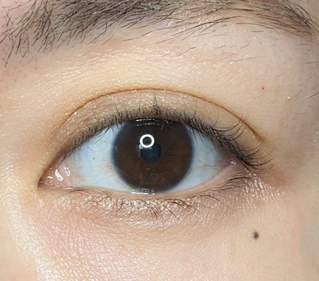 ケイト ポッピングシルエットシャドウの写真