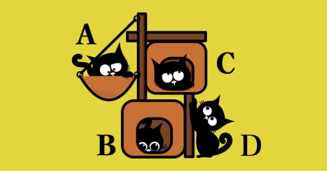 自分に似てるのは？【心理テスト】才能が発掘されるきっかけを診断！