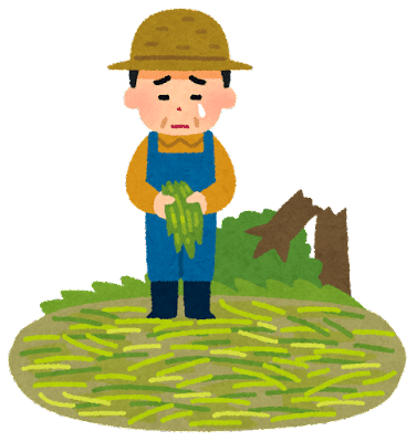 三国時代は戦乱や天災によって、多くの農民が苦しんでいた