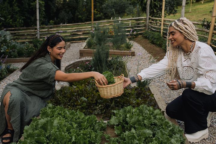 敷地内の菜園で宿泊客が収穫や種蒔きに参加する様子
