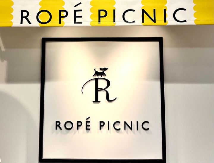 画像: なんかコーデ地味 → 解決！【ROPÉ PICNIC】主役級に可愛い！「グリーンブラウス」
