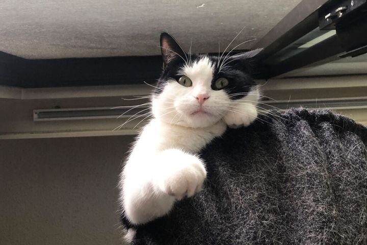 あら？ マミーそんなところでなにしてるの？ 鳥さんに夢中で、マミーが下にいるの気づかなかったわ！