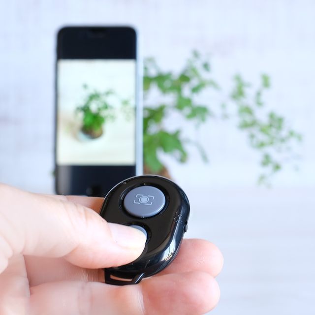 画像2: 出典：ftn_pics