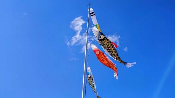 見る機会が減少（画像はイメージ）