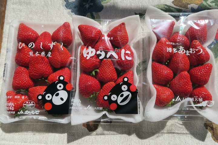 ▲筆者が4月に出合った3品種のイチゴ。人気の高い『あまおう』（右端）の名は「あかい・まるい・おおきい・うまい」の頭文字が由来。