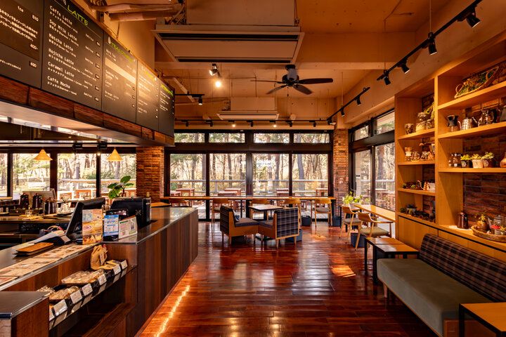 ネモフィラに、パワースポットやうつわ探しをしに、おすすめのいばらき春旅