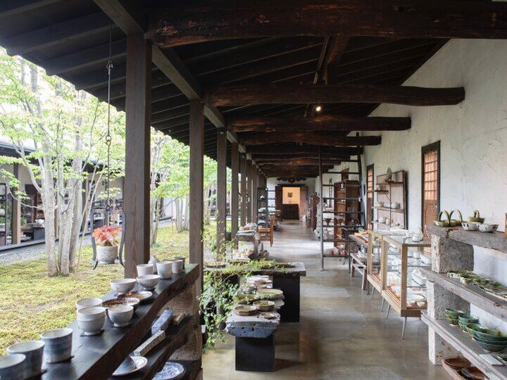 ネモフィラに、パワースポットやうつわ探しをしに、おすすめのいばらき春旅