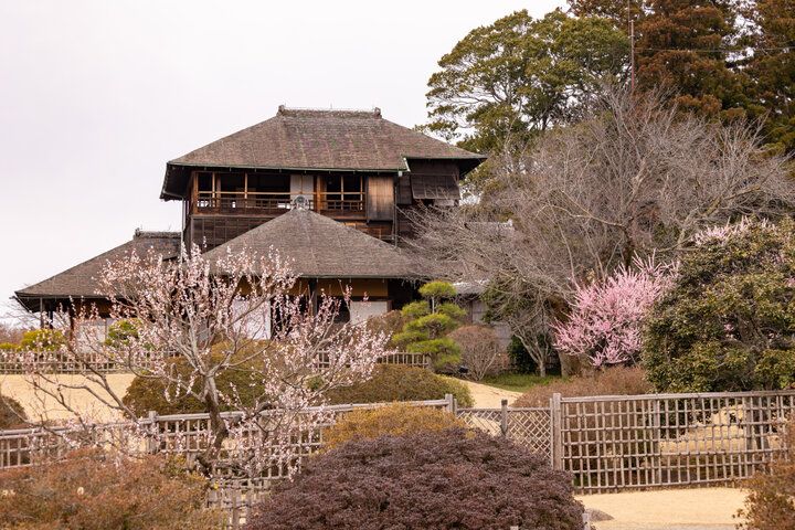 ネモフィラに、パワースポットやうつわ探しをしに、おすすめのいばらき春旅