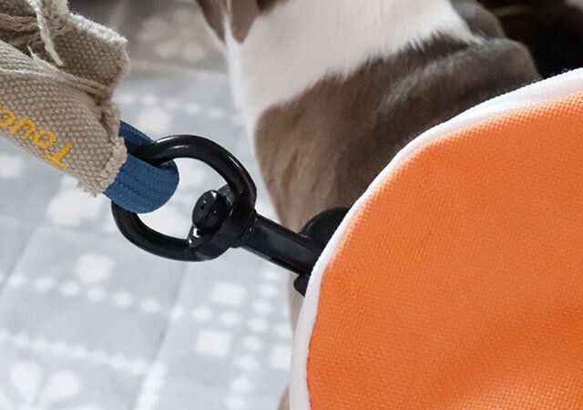 100均セリアのペットグッズリュック