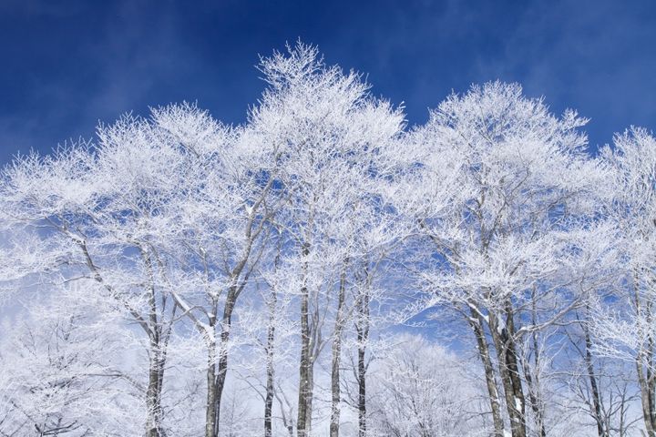 ツアーのコース上には樹氷をはじめ、普段あまり見ることができない雪山ならではの絶景がたくさん