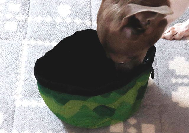 100均セリアのペット用フードボウル折りたたみタイプ