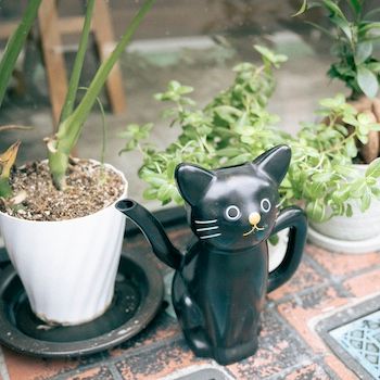 アメリカーノとシュガードーナッツで始める朝：ヨシダコーヒー 参宮橋【ファージーの特等席 vol.18】