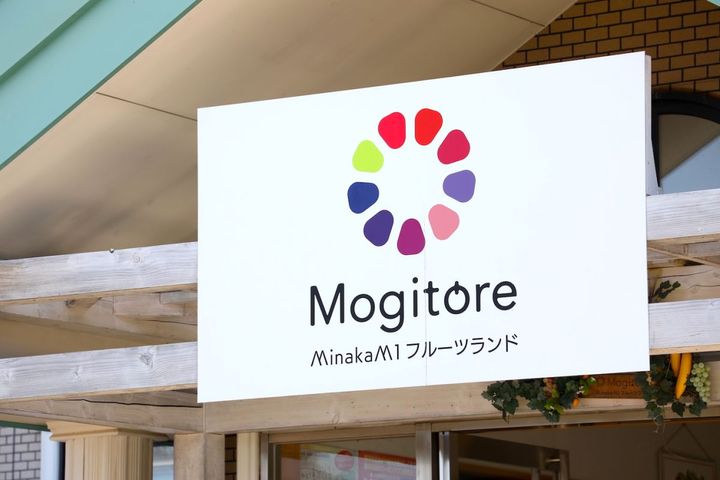 さまざまなフルーツ狩りが楽しめる果物園