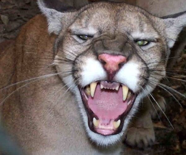 o0662068510932244703(1)